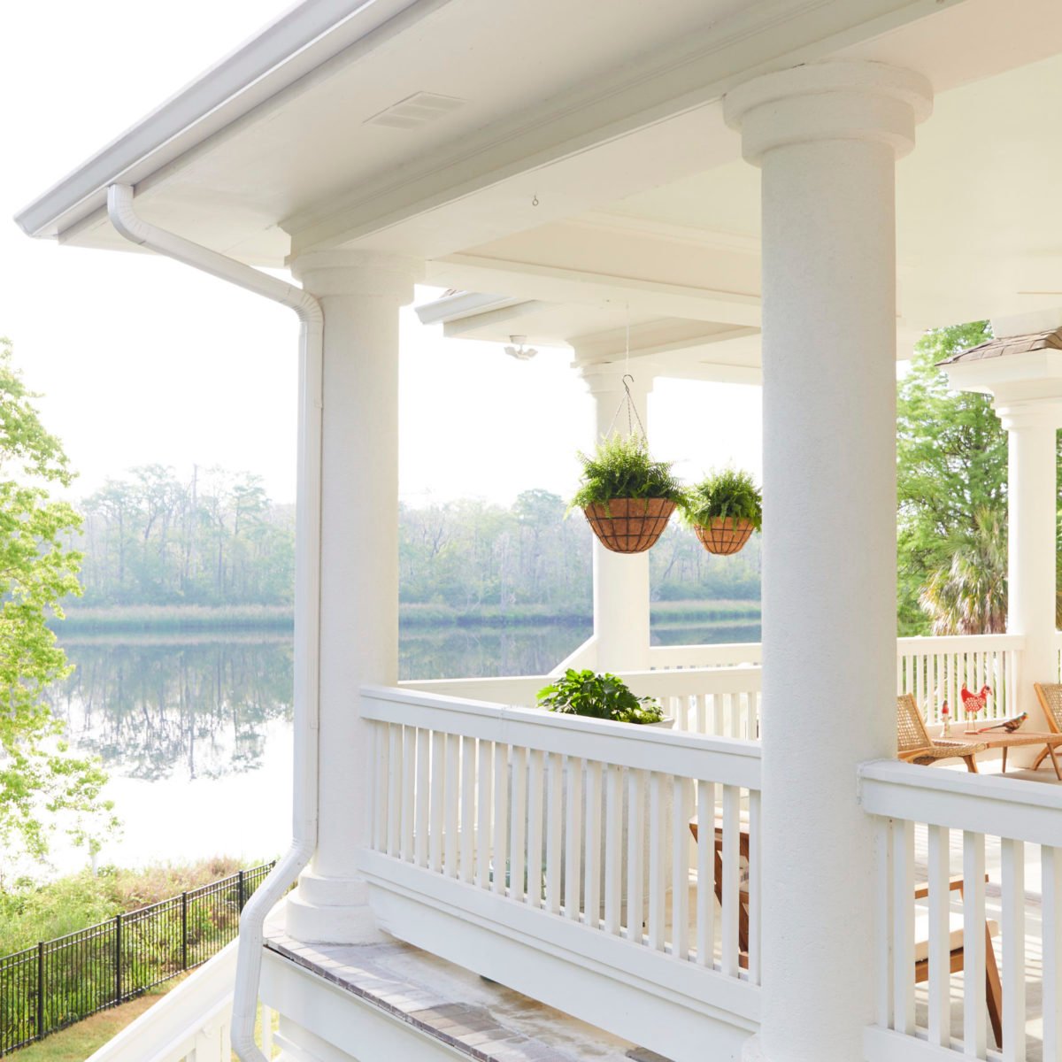 Hammocks Edisto D1 0237